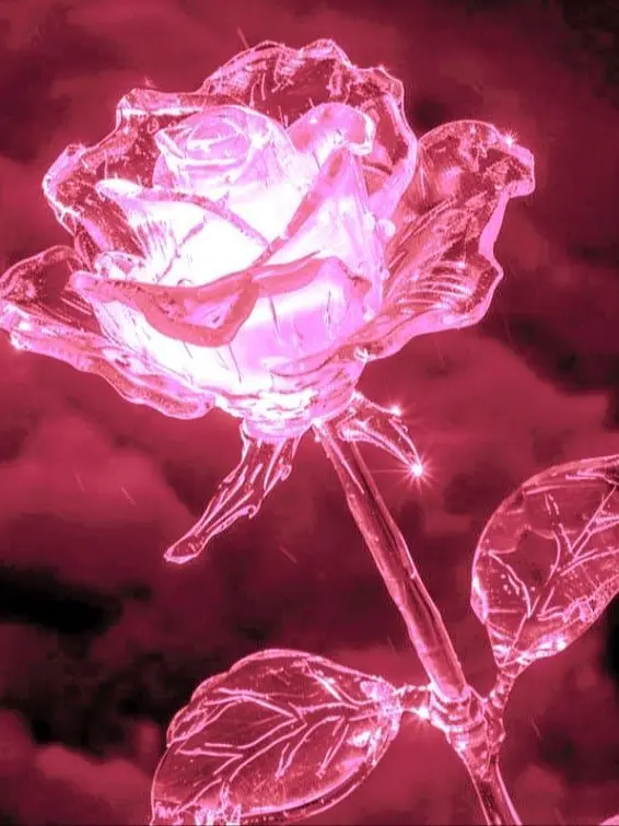 Meo_Yum의 7대 죄악 (팀샐러드)