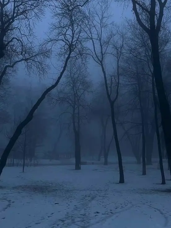 Inmydream의 내 인생을 망칠 구원자