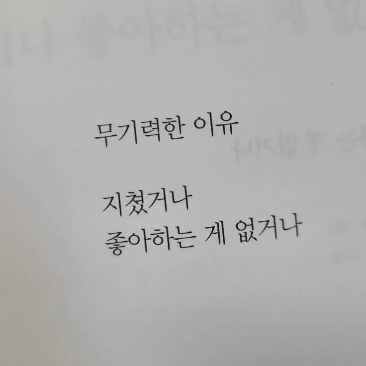 sewari.log의 특이한 친구 관계..?