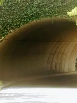 SnugSitar0579의 無理やり…（苦手な人やめといた方がいい）