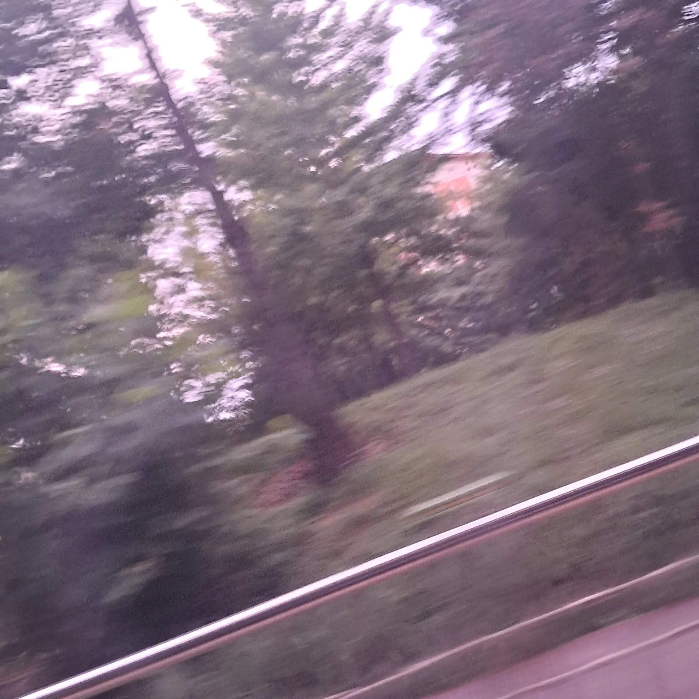 ActiveAtom0157의 당신의 직업은 '탐정'