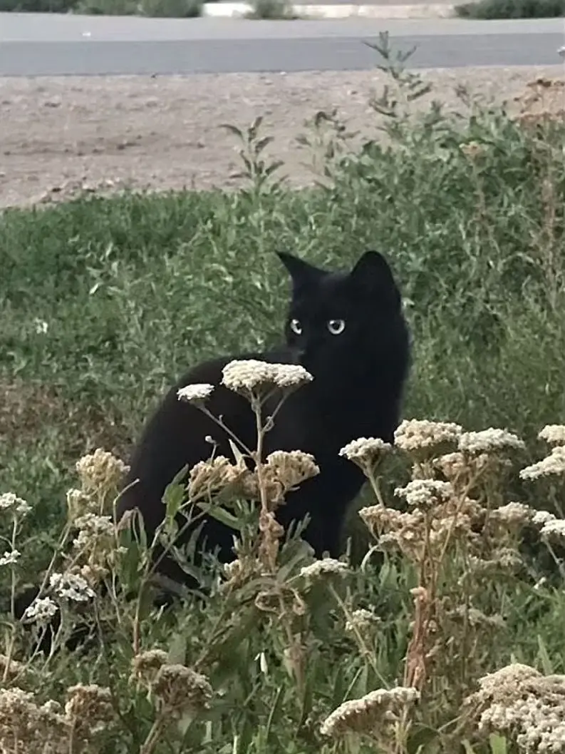 co_co_bsll의 누구 보다 행복할 우리