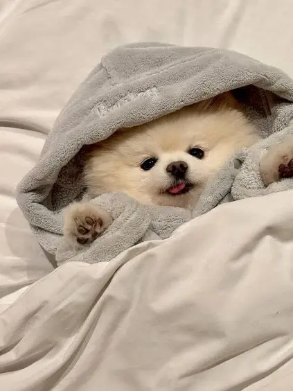 Ping_ping의 BND 수학여행