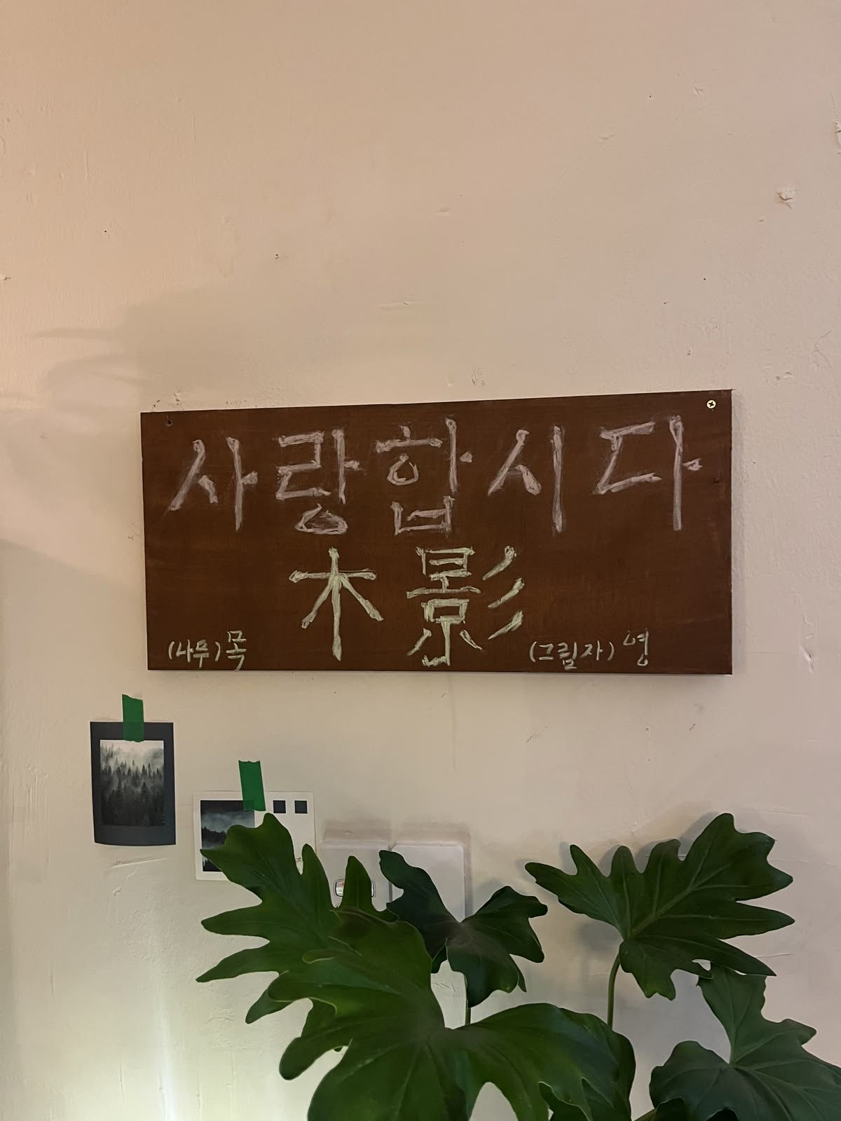 ㅤ 대표 이미지
