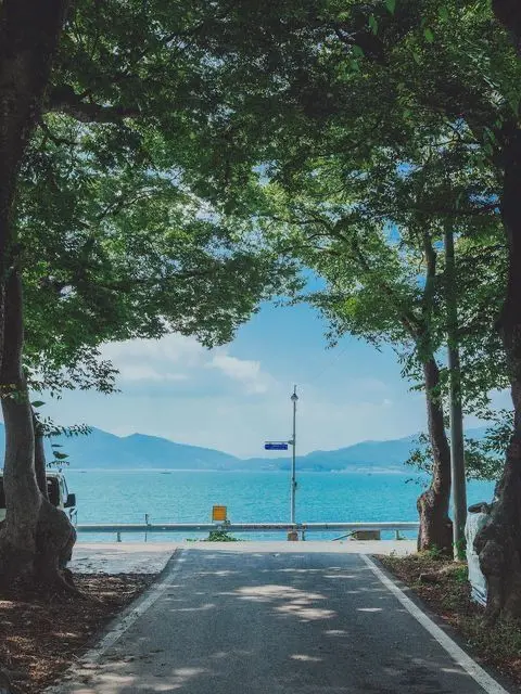 Si_yeon7의 夏休みの宿題！