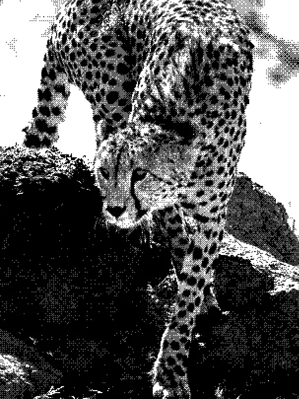 backdoraji의 넌 나밖에 없잖아.