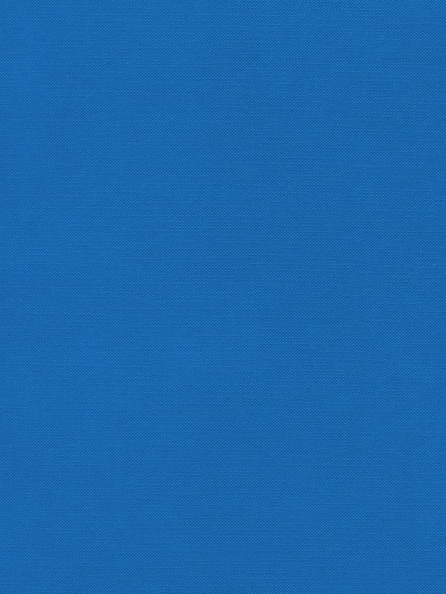 그들은 당신의 코스프레 모습을 보느라 바쁘다 대표 이미지