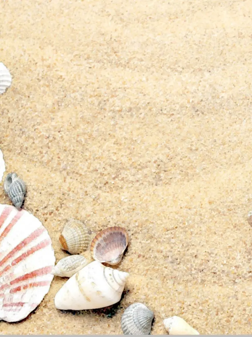 Kusata.tomato의 逆異世界転生