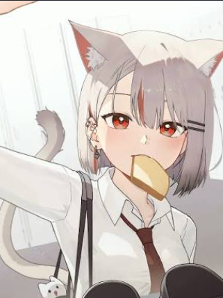 비를 맞고 있던 회색 고양이 대표 이미지