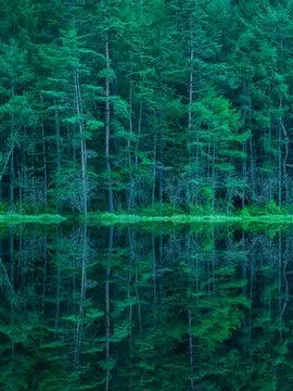 YuaKawasaki0223의 妖狐と迷子の少女