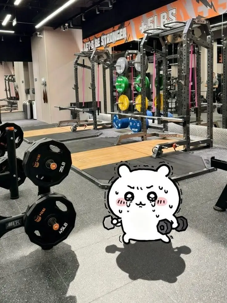 c.xoen_의 다이어트가 필요해