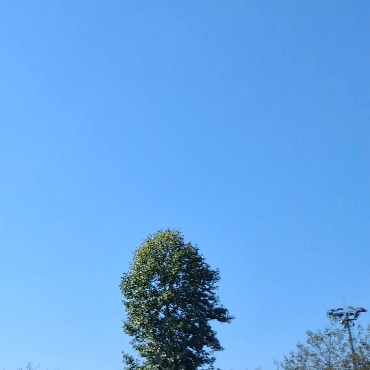 Bookshop의 집착 0