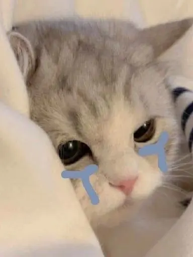 sksjjsskejjwqjxaxg의 커플 무리