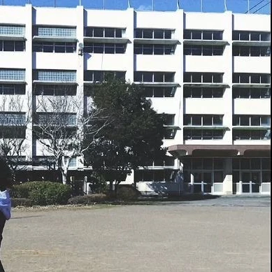 青りんご白書❗️