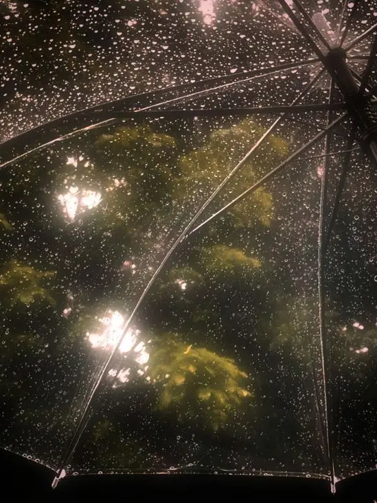 LiIy_eir의 " 아아 - 마이크 테스트 . "