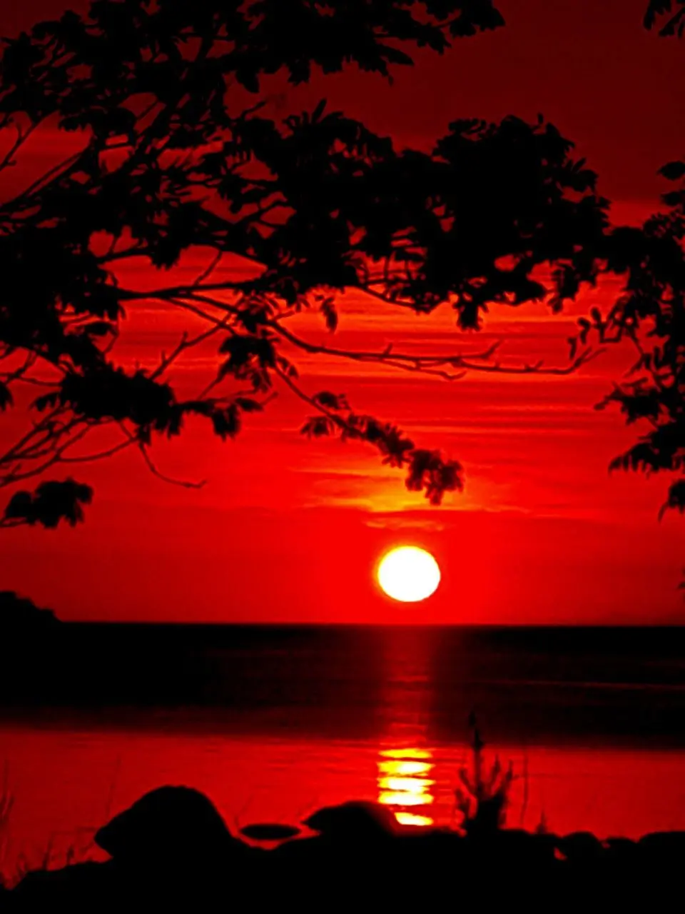 NosyGoal2562의 마플