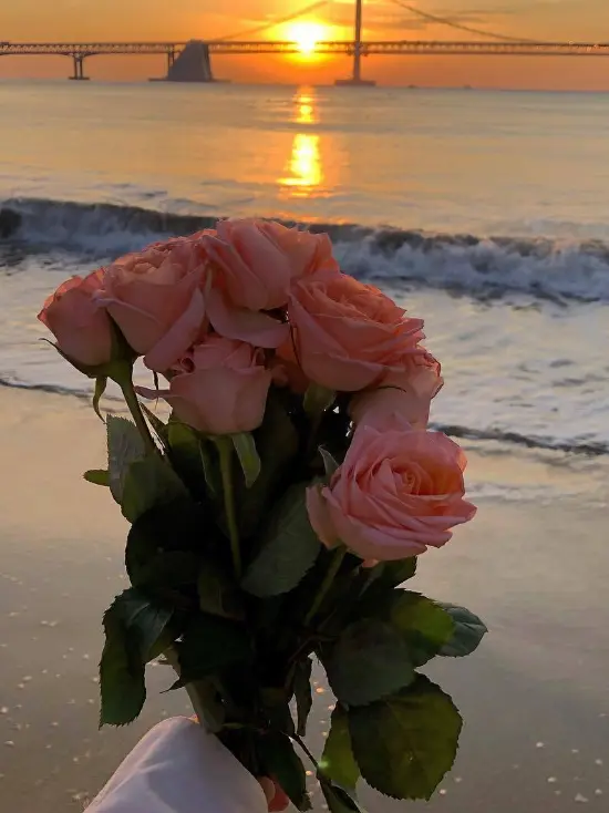 wwwnight13의 포세켄 로판 (?)