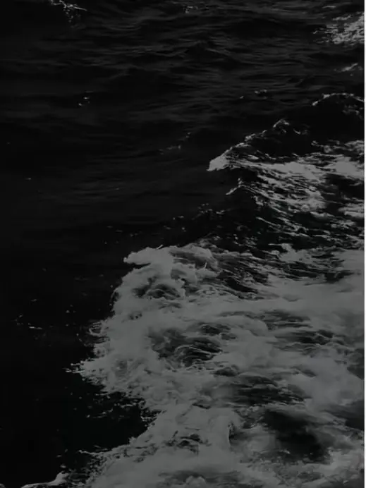 LightPlow5675의 조미연