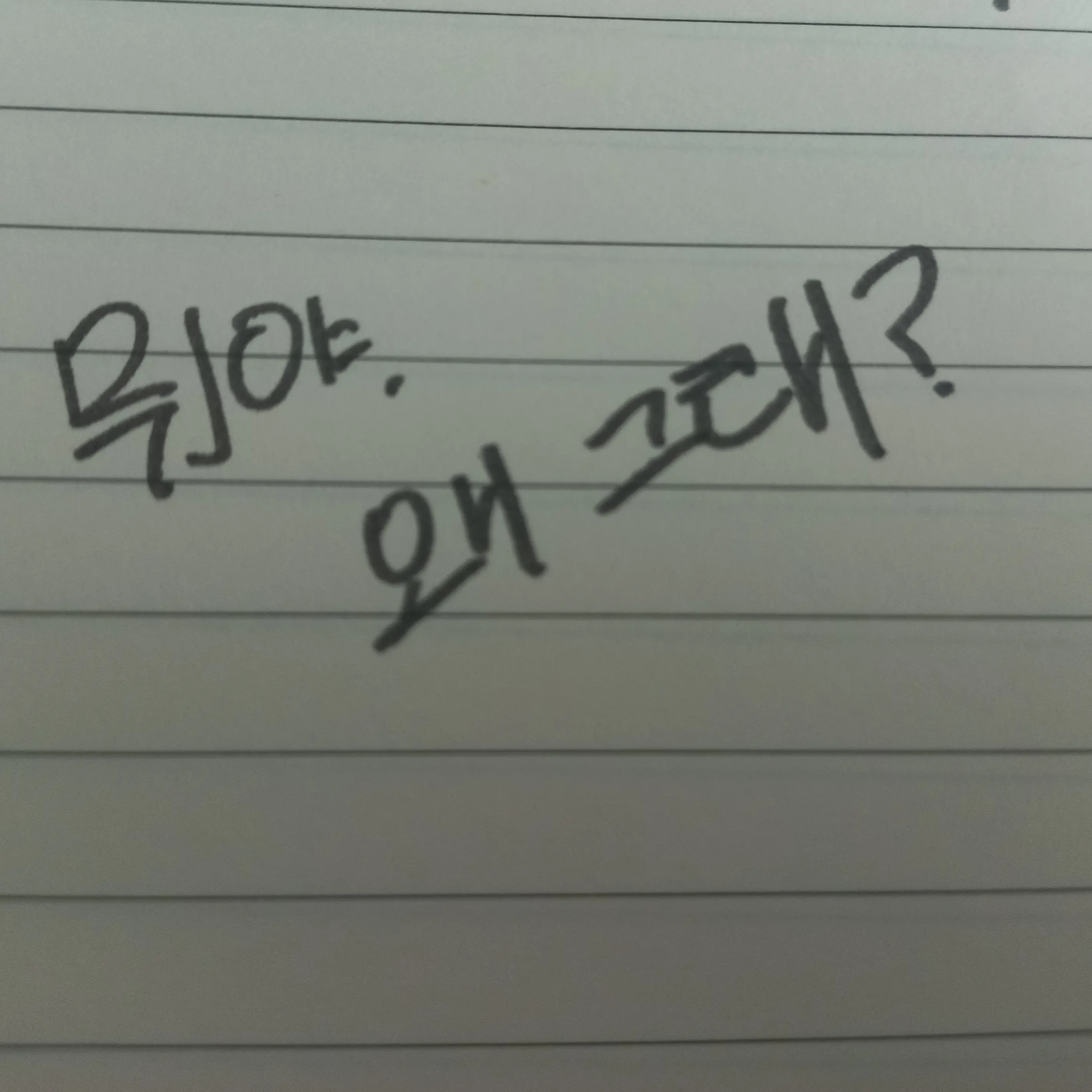 jd.4_LeeGuy의 김기명