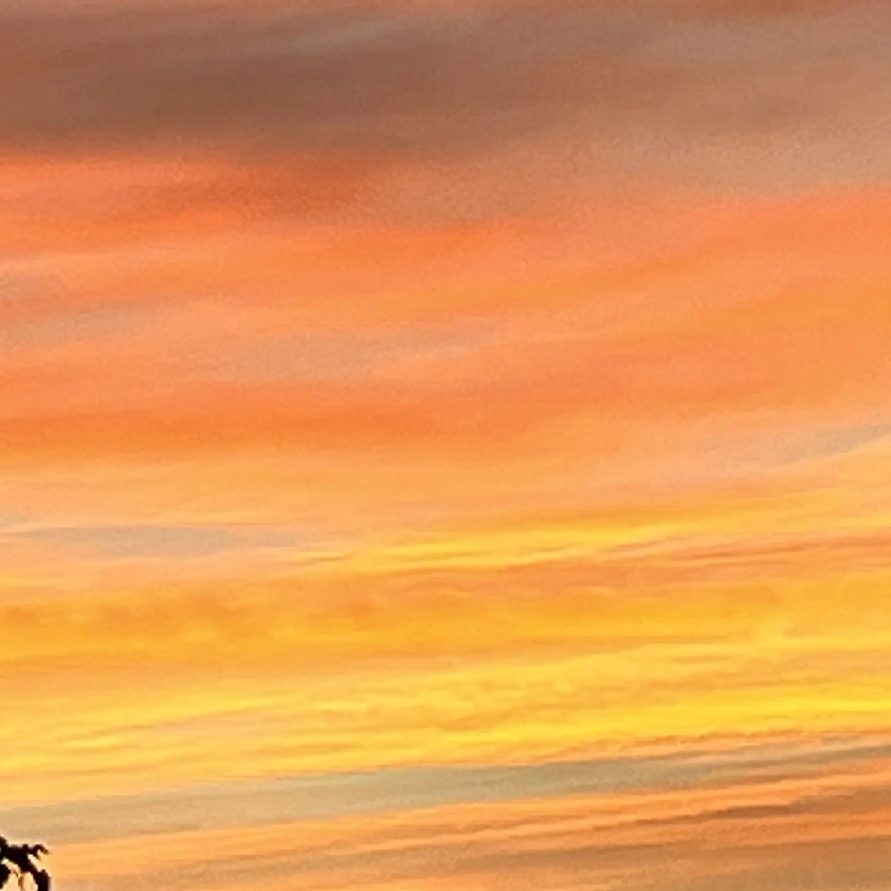 CrispyPlane3463의 조용한 날이 없는 영원 수사반