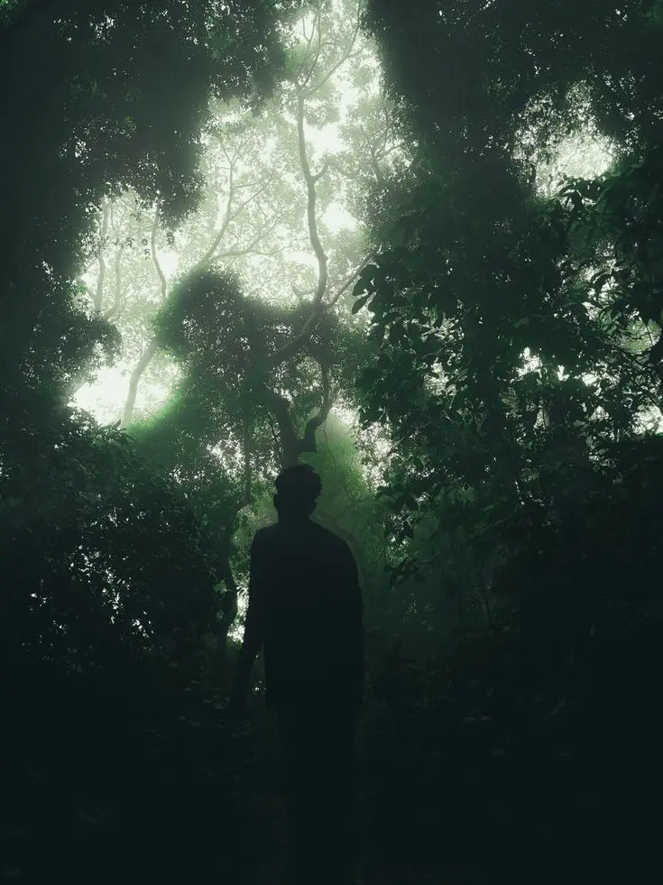 NuttyMink1509의 Obsession in the Shadow