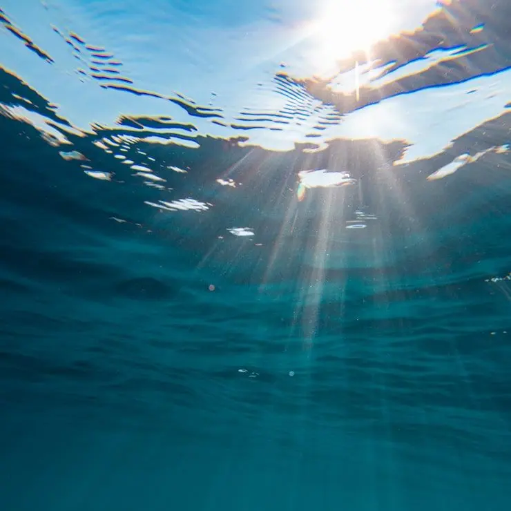 DaftlyPhoto7365의 바다