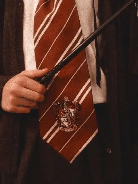 J_4160의 리무스 루핀