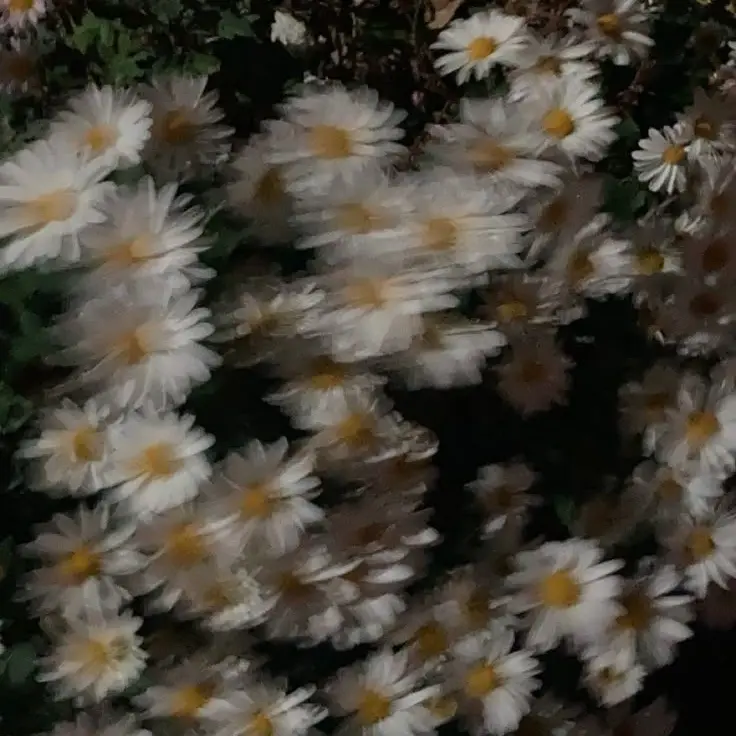 SBlove_의 ㅂㅅㄱ