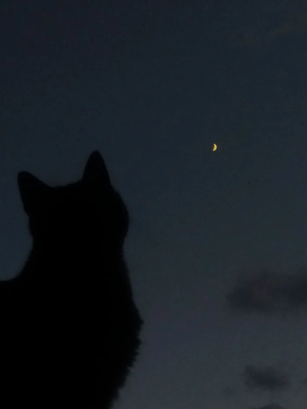 WetBlade6641의 最後まで面倒見ろよ