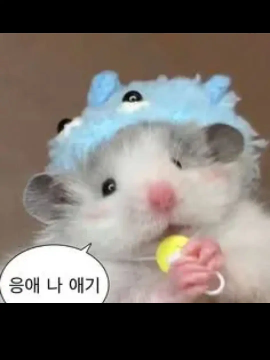 TartanCurry7652의 러브 바스타즈