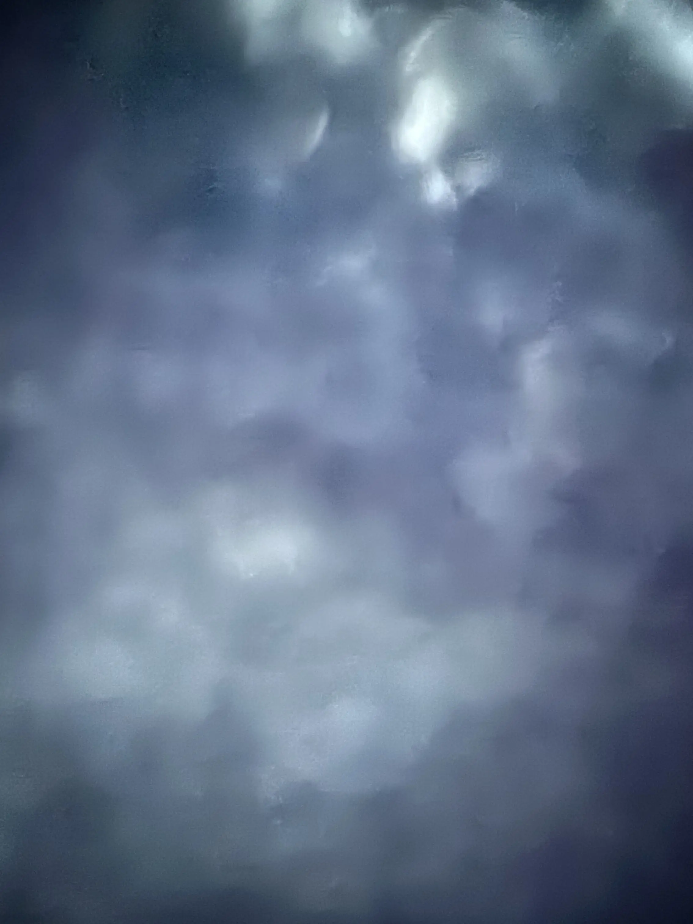 TautEasel6965의 꽥스코드