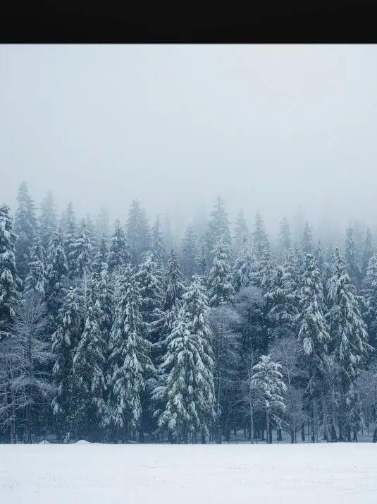 GoldenSeal3324의 Winter zombie apocalypse