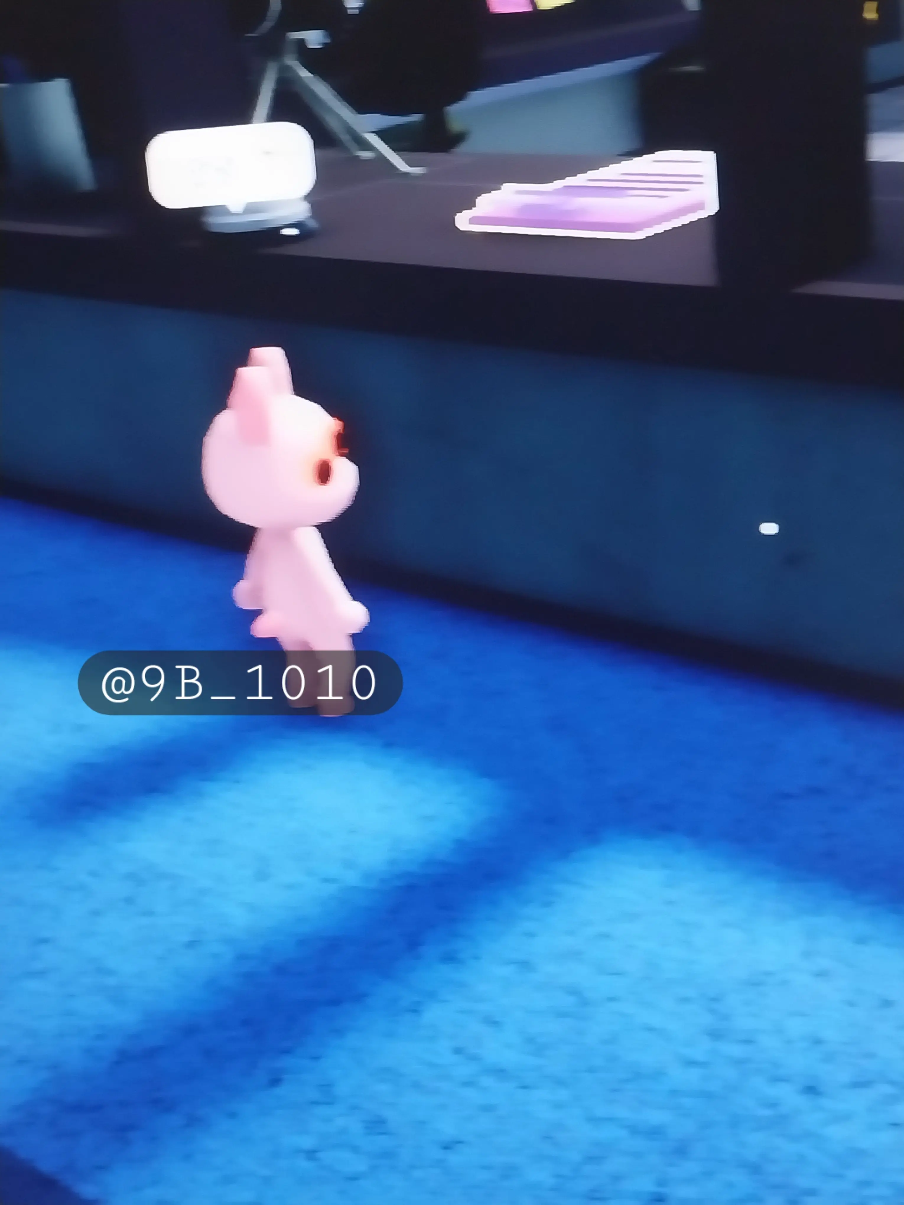 9B_1010의 🏥  동물병원  💉
