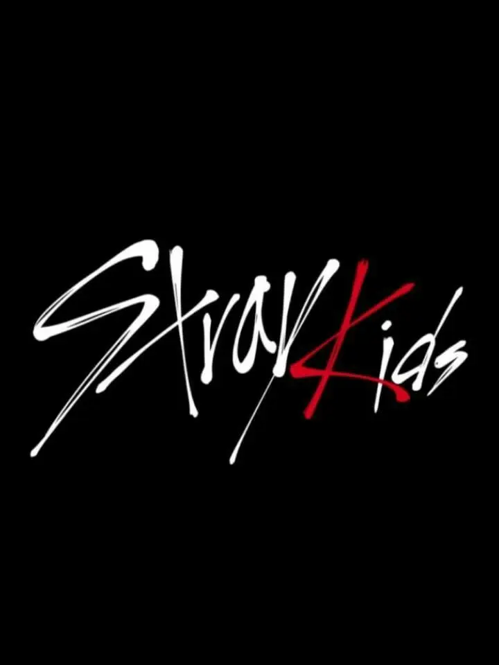 straykids2018.0325의 straykidsと共演！！