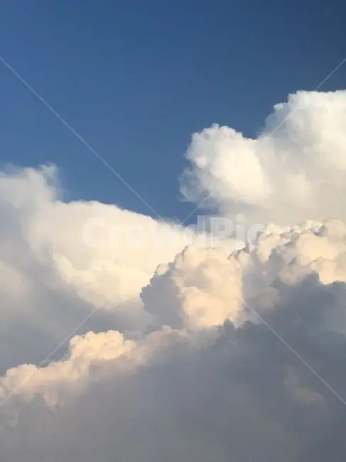 5.29의 세상 참 예쁜 오드리(박지훈)