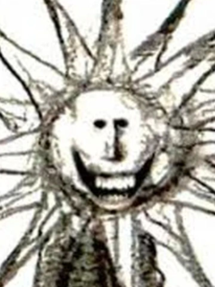 SUN MAN 대표 이미지