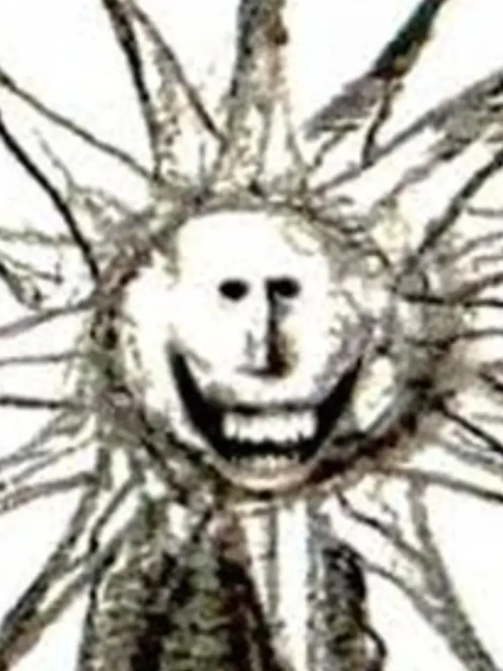 doraisheki의 SUN MAN