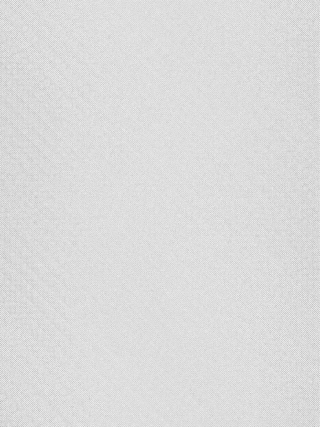 BrutePad7921의 R.蒸気機関発展都市