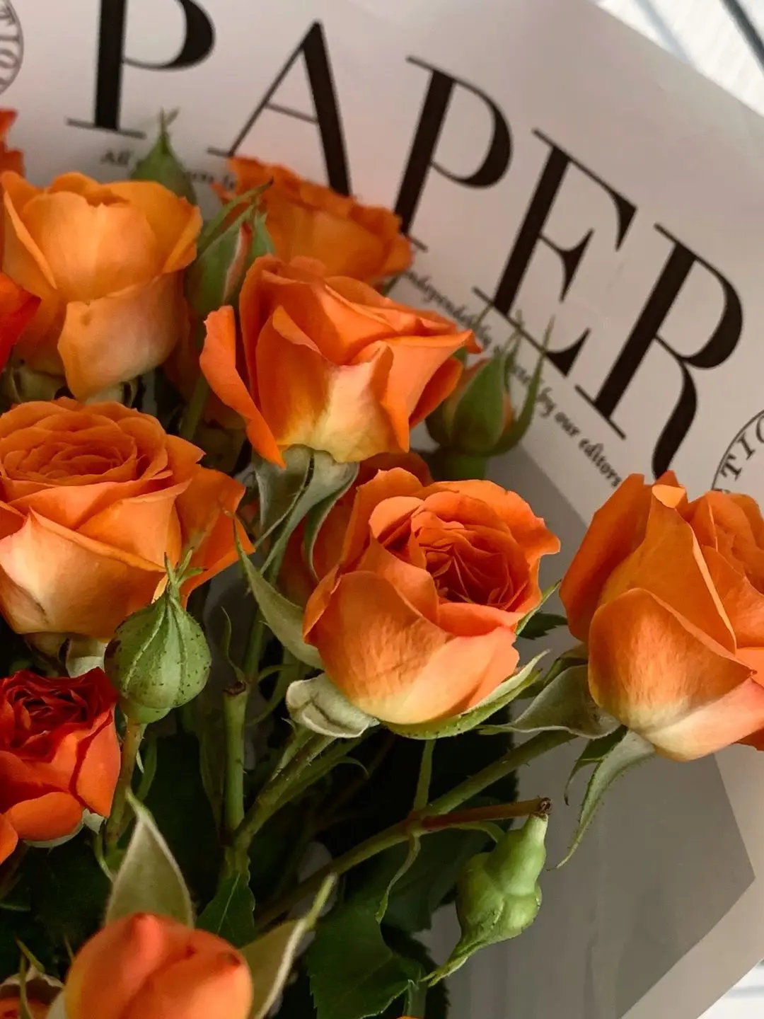 KANGDAESUNG19890426의 박덕개