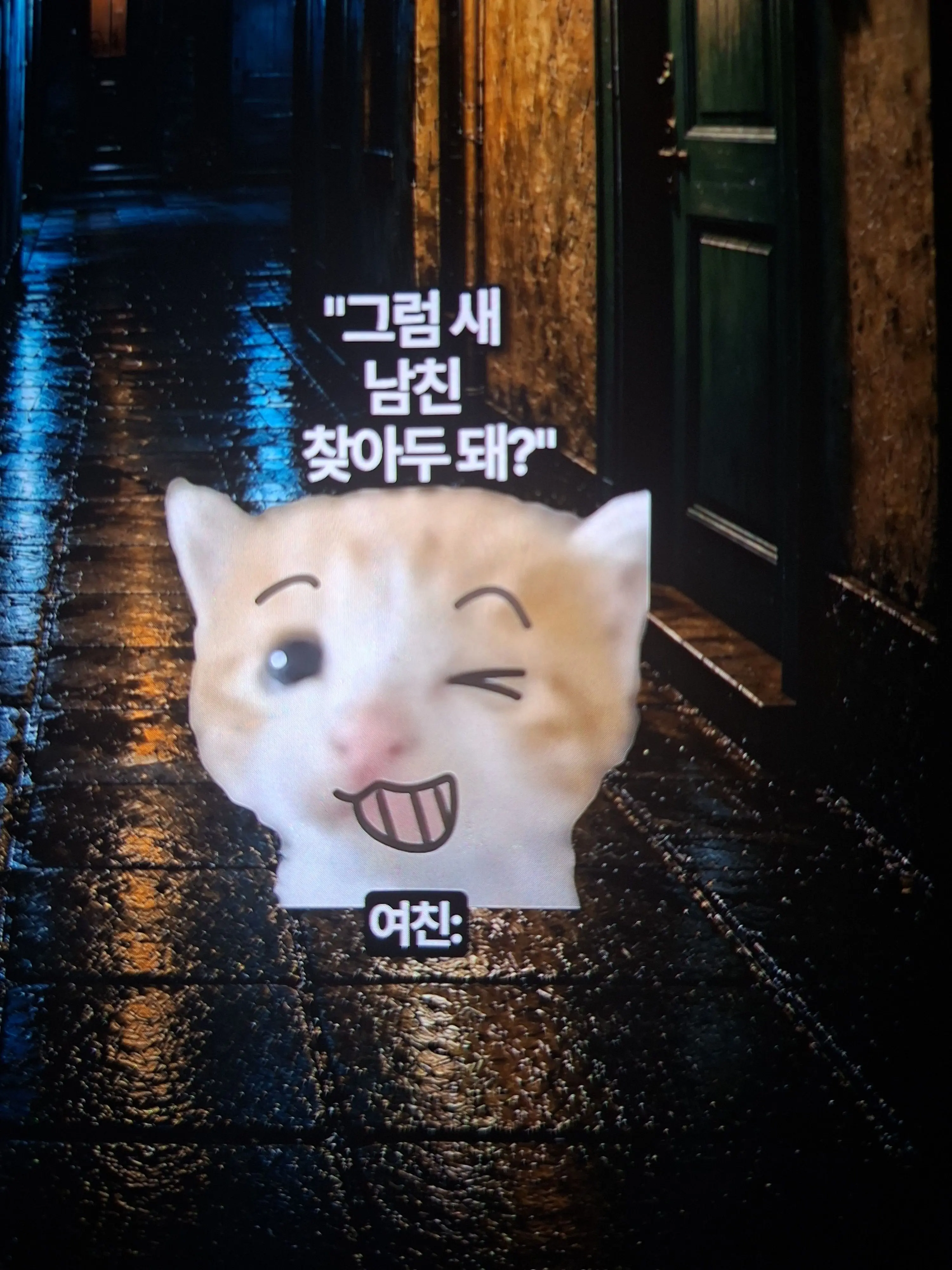 SilentArrow0876의 이웃집고영희
