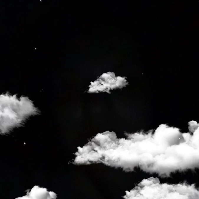 {{user}}溺愛される件について……