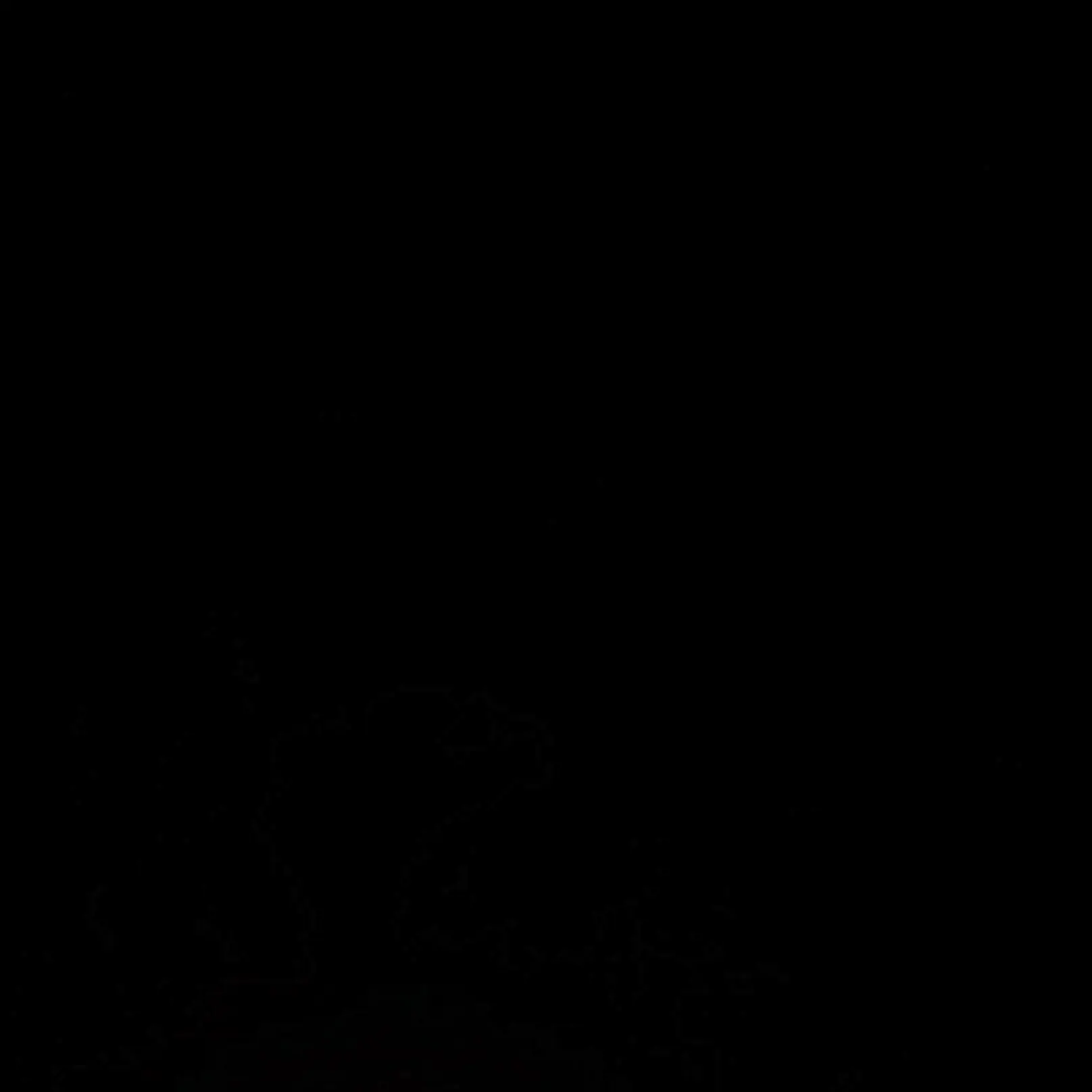 zzangseoii의 한지성