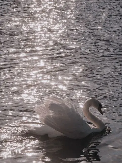 SeongjiJaegyeon_Chin의 민지훈