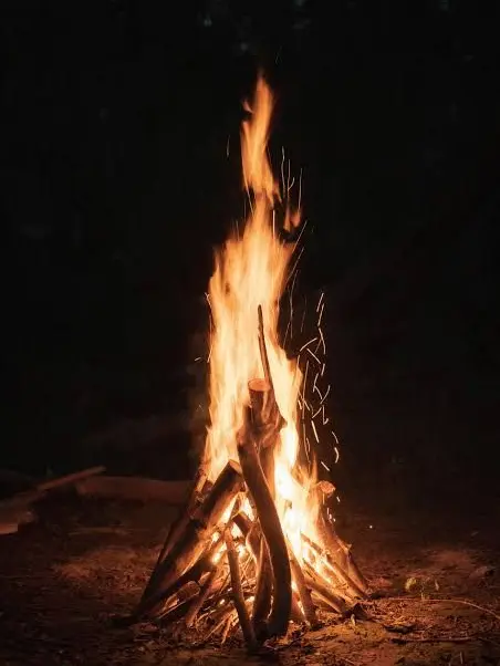 Ch4lieCh3sire의 Campfire song!