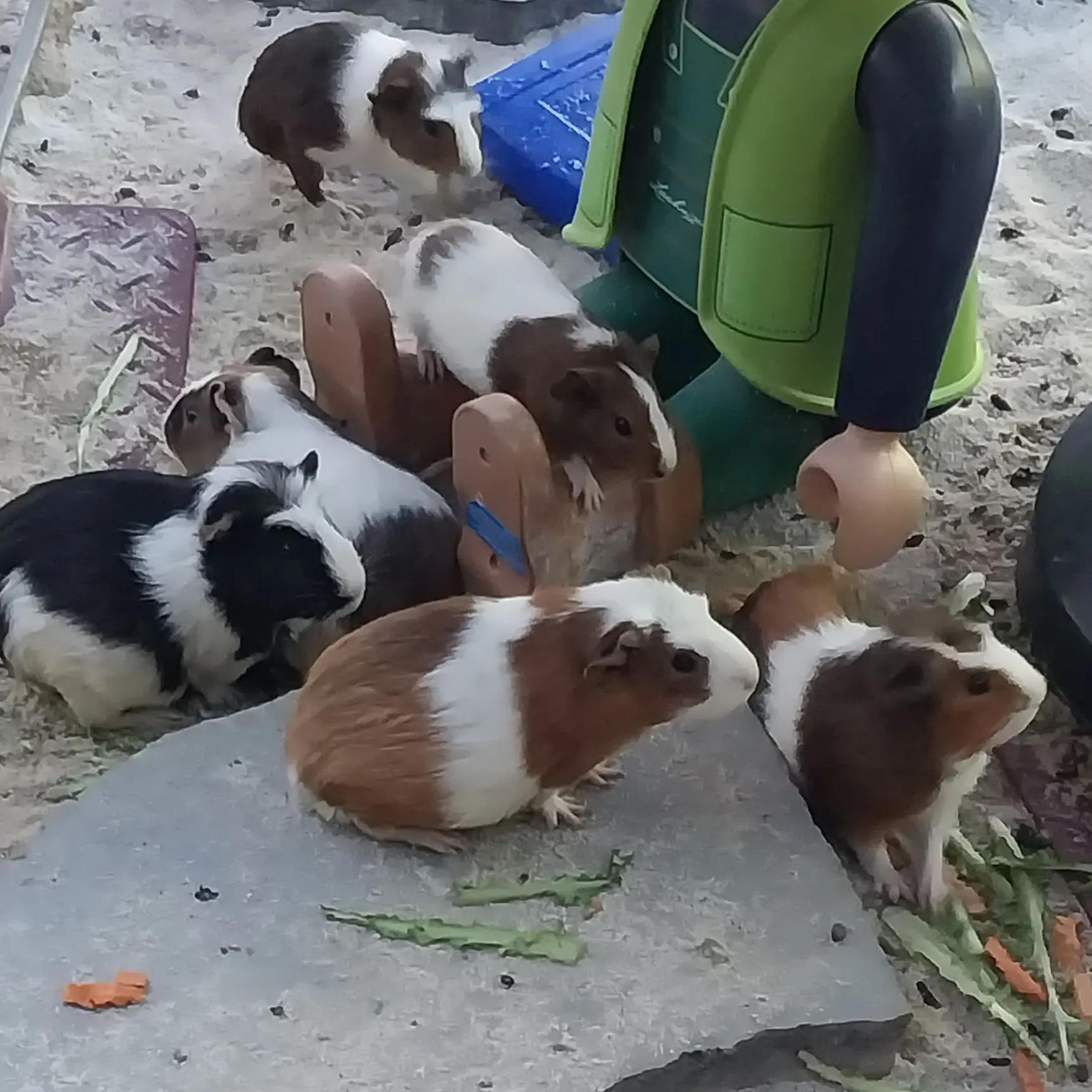 TAESAN_0417의 F8(알파드라이브원+여우)