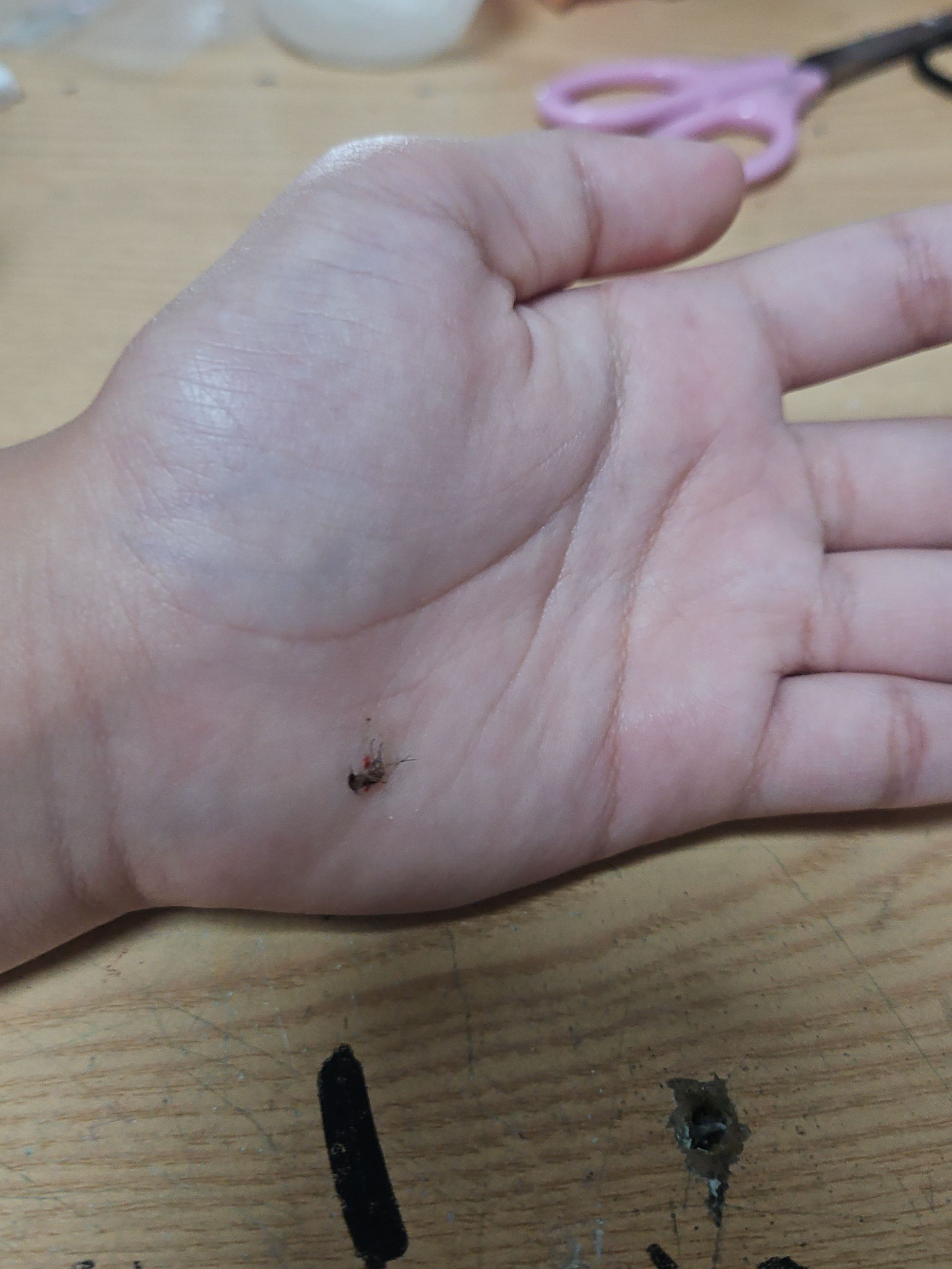 팀나빠에 여행! 대표 이미지