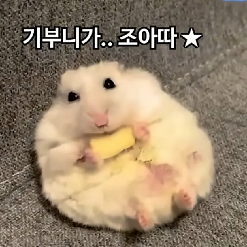 AngryRifle8299의 컨트리휴먼 4형제 (여우포함!)