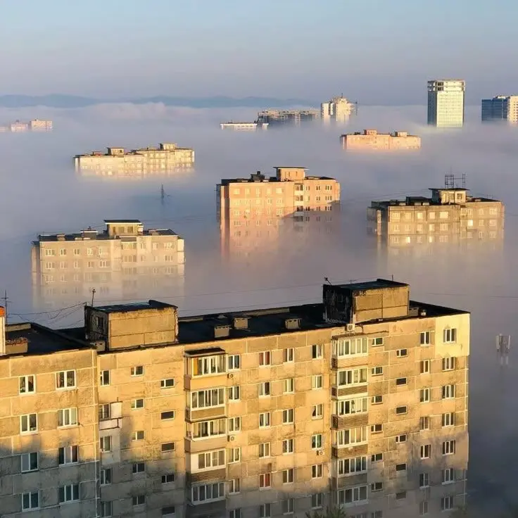 m_eat의 침묵 속 멸망