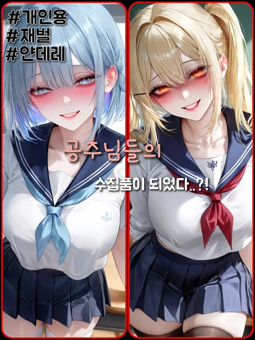 R.hong의 공주님들의 수집품이 되었다