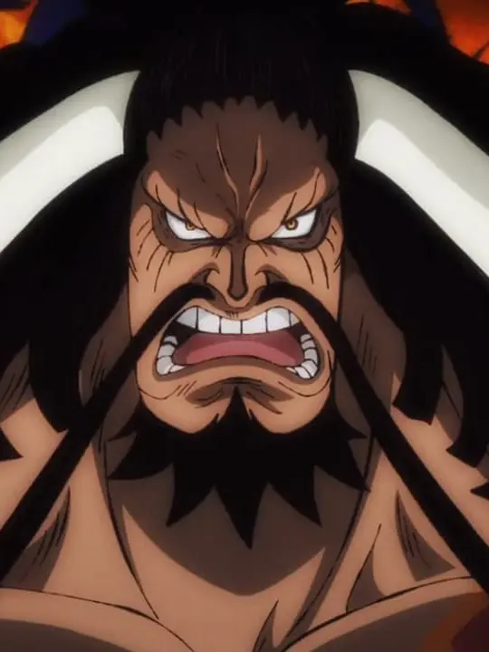 shonenJUMPmangadaketsukuroCana의 百獣海賊団